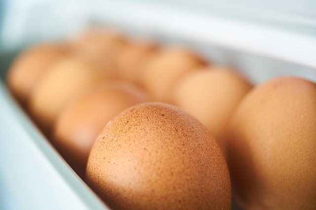 donor-eggs-for-women-with-ovarian-condit-640x480-32828289.jpeg