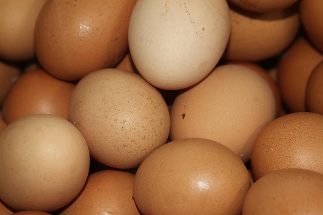 donor-eggs-for-women-with-ovarian-condit-640x480-41609605.jpeg