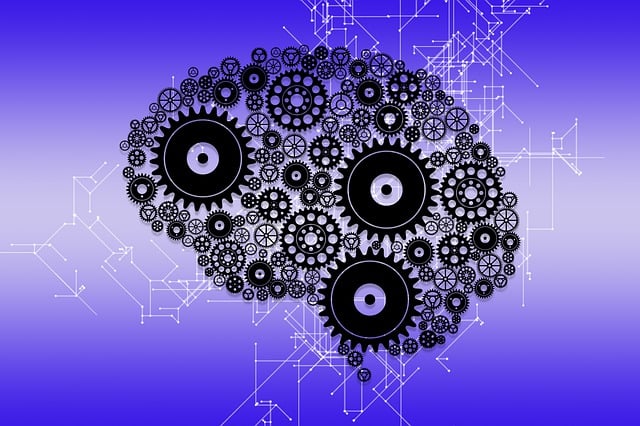 Transforming Education with Personalized IT Support for Schools