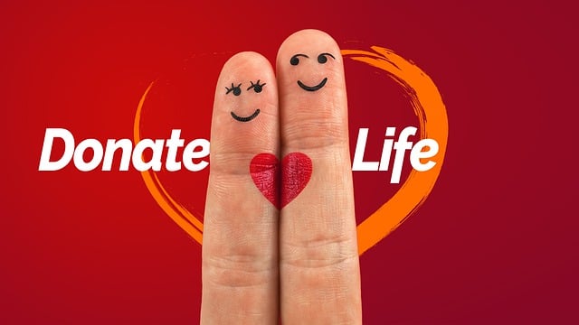 egg-donation-after-ovarian-removal-640x480-48951265.jpeg