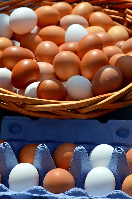 egg-donation-after-ovarian-removal-640x480-6450701.jpeg