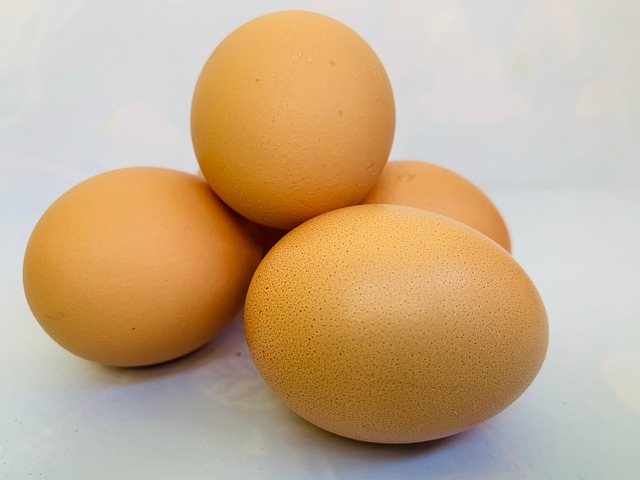 egg-donor-for-infertile-women-640x480-38460217.jpeg