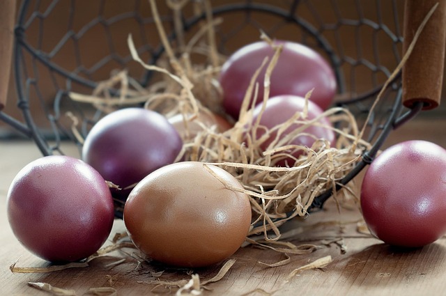 egg-donor-for-ovarian-surgery-patients-640x480-19114166.jpeg
