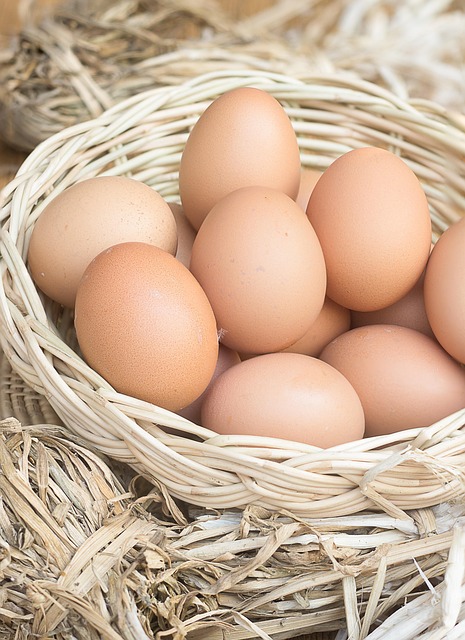 egg-donor-for-poor-egg-quality-640x480-2756170.jpeg