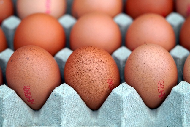 egg-donor-for-poor-egg-quality-640x480-69691218.jpeg