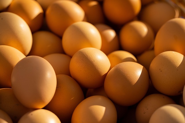 Donor Eggs: Overcoming Fertility Challenges with Quality Solution