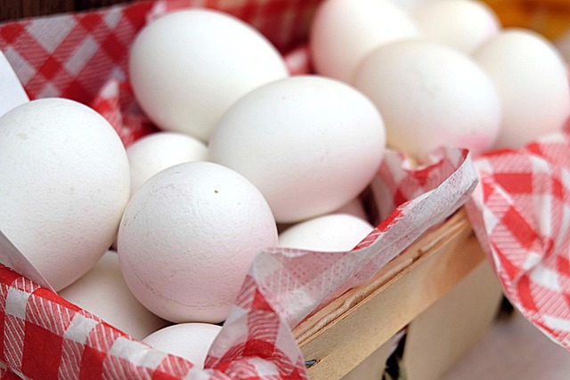 egg-donor-for-poor-egg-quality-640x480-89894169.jpeg
