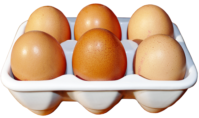 egg-donor-for-same-sex-male-couples-640x480-4761786.png