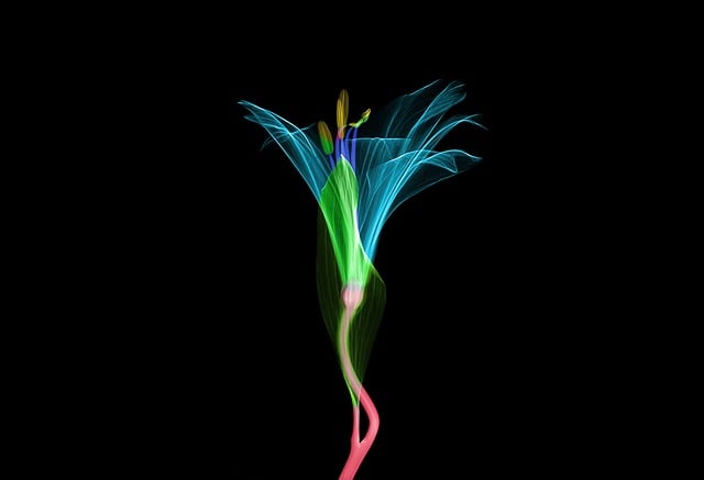 enhanced-x-ray-imaging-640x480-35025246.jpeg