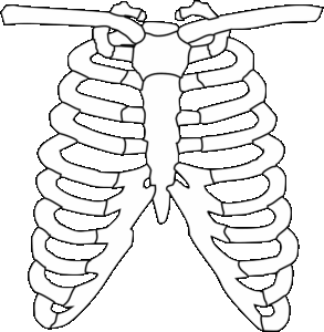 enhanced-x-ray-imaging-640x480-46849061.png