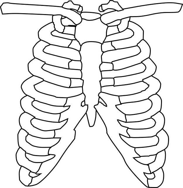 enhanced-x-ray-imaging-640x480-46849061.png