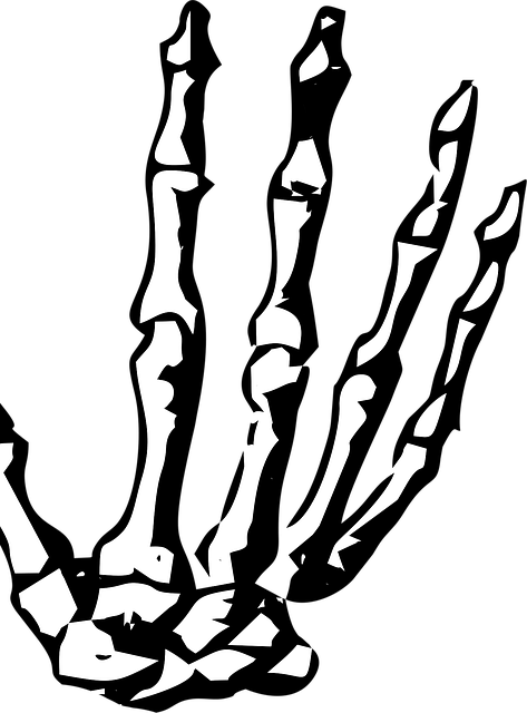 enhanced-x-ray-imaging-640x480-61144543.png