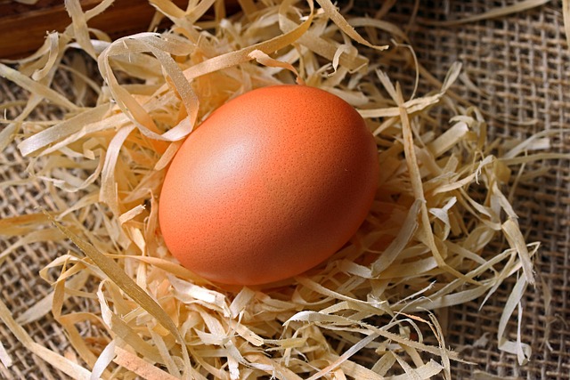 fertility-treatment-with-donor-eggs-640x480-11732923.jpeg