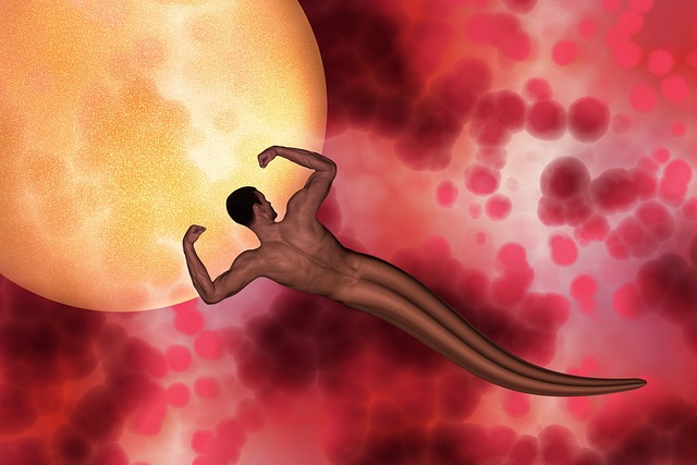 fertility-treatment-with-donor-eggs-640x480-36504684.jpeg