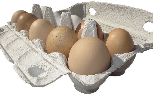 finding-an-egg-donor-for-same-sex-couple-640x480-65070713.png