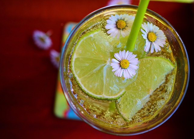 Infrared Detox Treatments: Natural Lymphatic System Cleansing Powerhouse