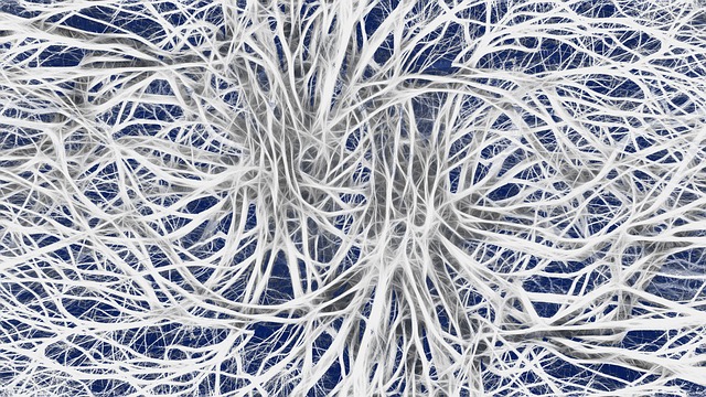 functional-nervous-system-mri-640x480-45976482.jpeg