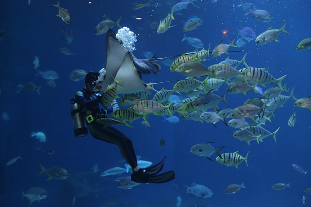 glass-aquariums-640x480-76112820.jpeg