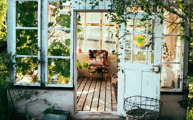 Designing Personalized Aquariums: Size to Lighting for Home Beauty