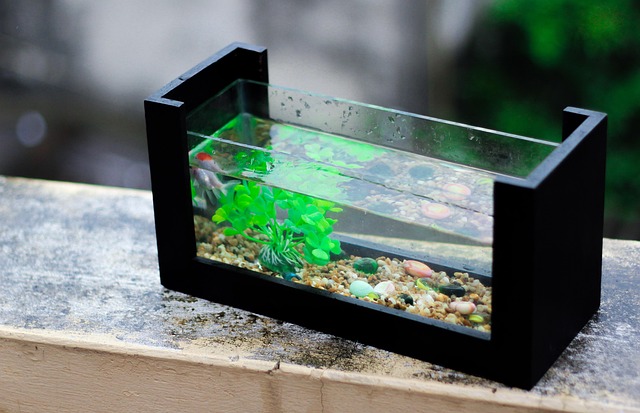 hotel-lobby-aquariums-640x480-27136774.jpeg