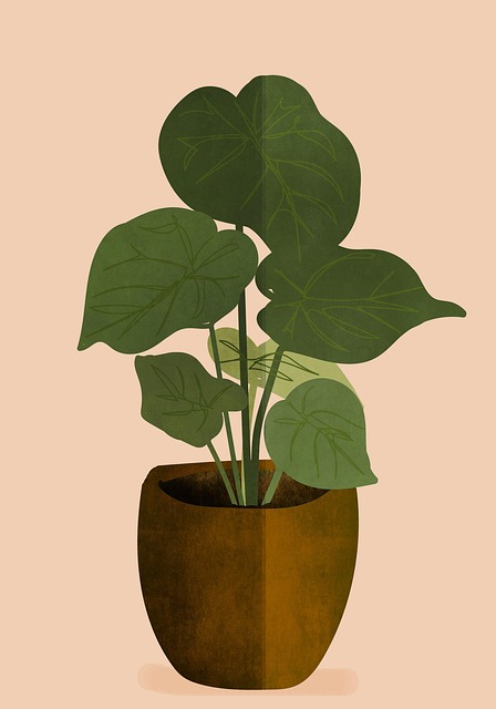 houseplant-arrangement-services-640x480-50468621.jpeg