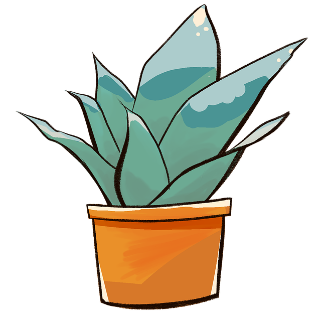 Elevate Your Home with Custom Home Plant Styling: Terrariums & Moss Walls