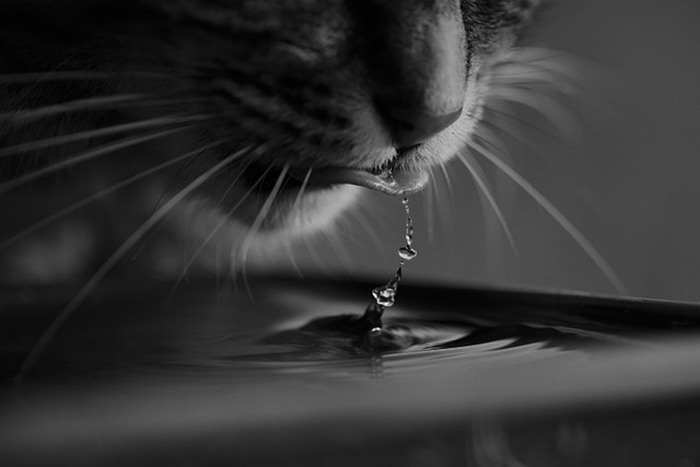 hydration-therapy-for-focus-640x480-78881938.jpeg