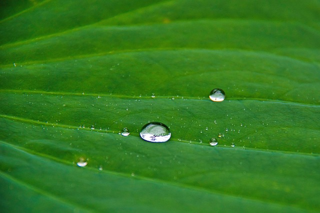 Amino Acids & IV Drips: Boosting Immune Health Directley