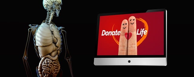 infertility-solutions-with-egg-donation-640x480-29966360.jpeg