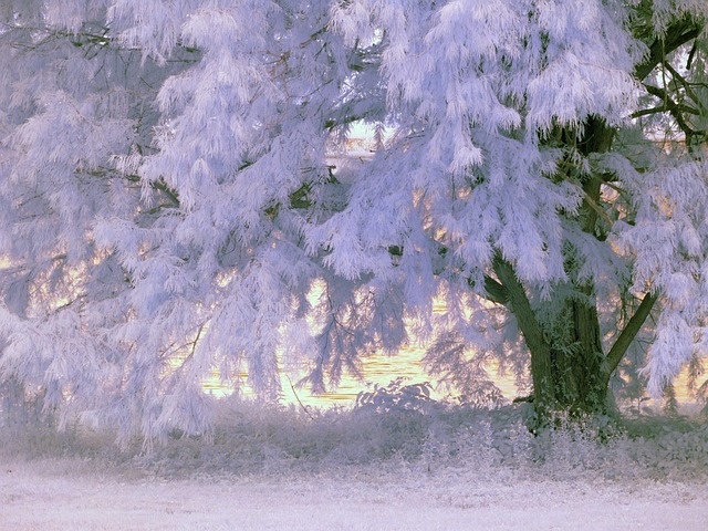 infrared-detox-treatments-640x480-84266943.jpeg