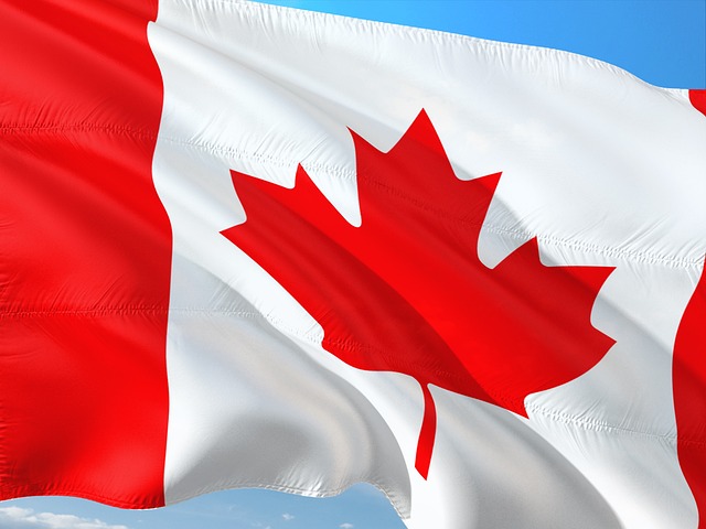 international-surrogacy-programs-640x480-18225120.jpeg
