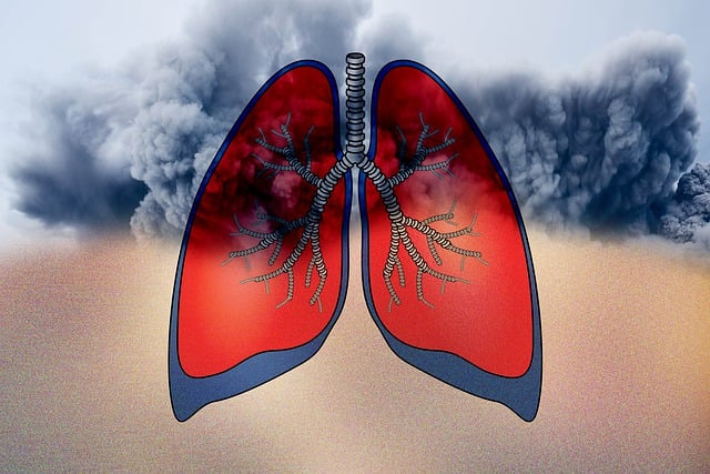 interstitial-lung-disease-imaging-640x480-16152252.jpeg