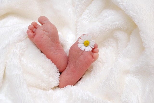 intimate-hair-removal-640x480-6985798.jpeg