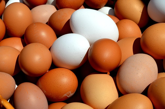 ivf-with-donor-eggs-640x480-90092019.jpeg