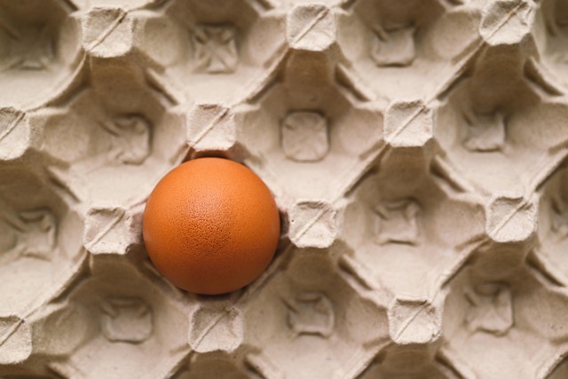 ivf-with-donor-eggs-for-male-couples-640x480-16561696.jpeg