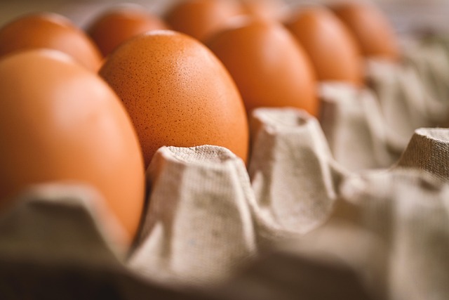 ivf-with-donor-eggs-for-women-over-40-640x480-79815509.jpeg