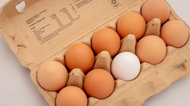 Coping with Egg Donation: Navigating Personal and Societal Emotions