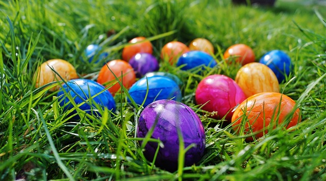 ivf-with-donor-eggs-post-surgery-640x480-52947157.jpeg