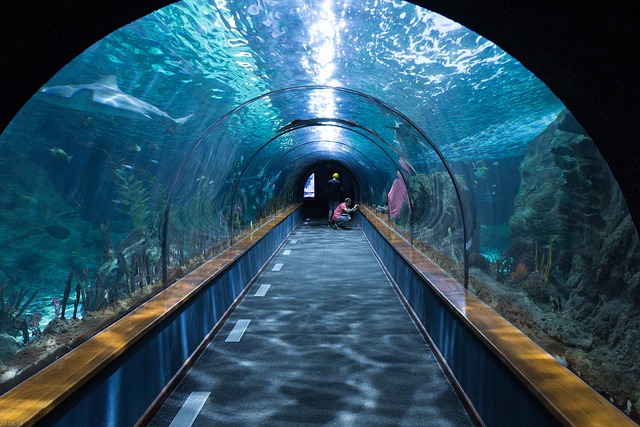 large-scale-public-aquariums-640x480-94596194.jpeg