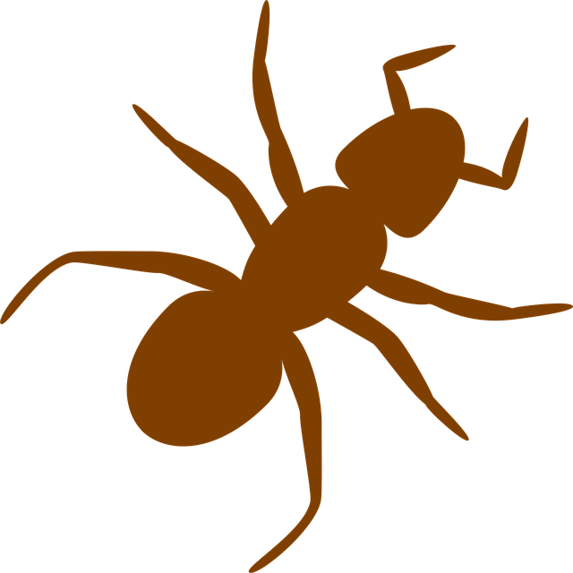 leg-waxing-640x480-60634284.png