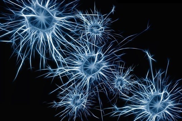 medical-imaging-for-brain-640x480-10236616.jpeg