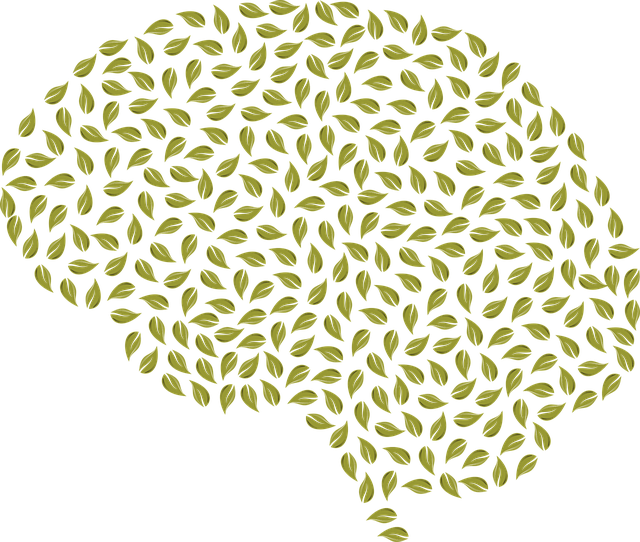Sleep, Depression, Adolescents: Therapy & Hygiene Strategies for Treatment