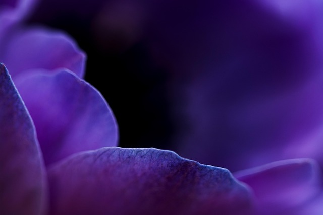 microbubble-contrast-agent-640x480-23727826.jpeg