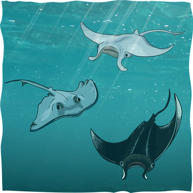 miniature-aquariums-640x480-7556474.png