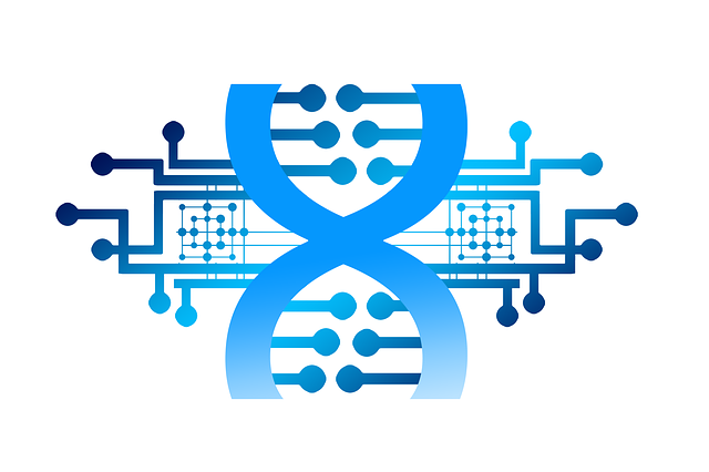 mitochondrial-dna-repair-with-nad-640x480-78231825.png