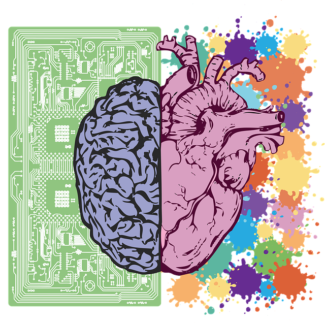 mri-scan-contrast-640x480-48307465.png