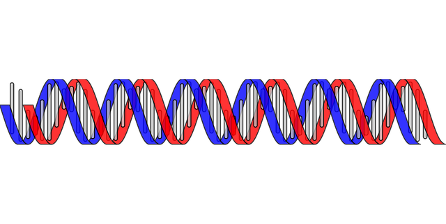 nad-therapy-for-dna-repair-640x480-91019455.png
