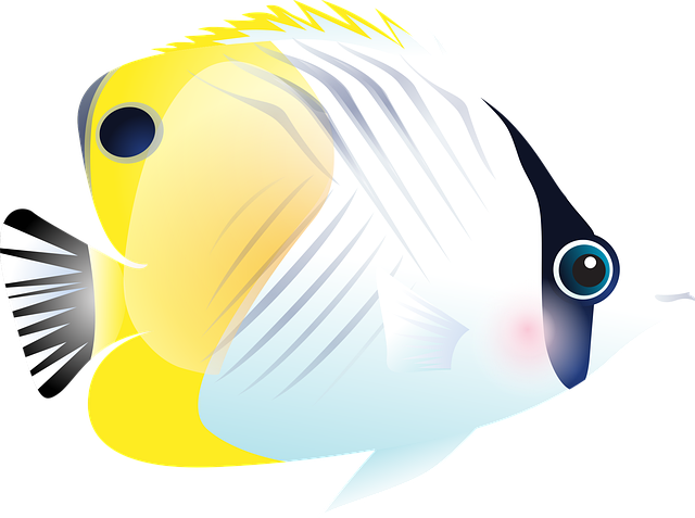 nano-aquariums-640x480-26773733.png