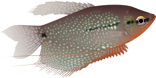 nature-inspired-aquariums-640x480-41824930.png