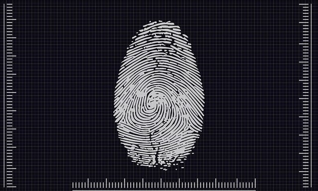 Unveiling Peripheral Nerve Damage with Advanced Imaging Techniques